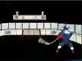 Joc Capitaine Cage Hockey on-line