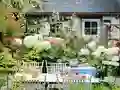 Joc Flower Garden on-line