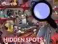 Joc Hidden Spots In The Room on-line