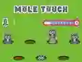 Joc Pole Touch on-line