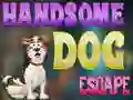 Joc Handsome Dog Escape on-line