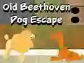 Joc Old Beethoven Dog Escape on-line