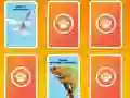 Joc National Geographic Kids Matching on-line