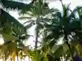 Joc Golden Statue Escape on-line