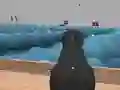 Joc Ships 3D on-line