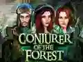 Joc Conjurer Of The Forest on-line