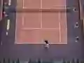 Joc Tennis Love on-line