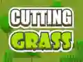 Joc Cutting Grass on-line