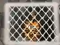 Joc Tiger Escape 1 on-line