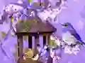 Joc Wonderful Humming Bird Land Escape on-line