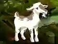 Joc Searching Goat Child on-line