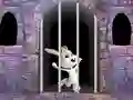 Joc Victory Rabbit Escape on-line