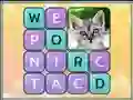 Joc Word Search Pictures on-line