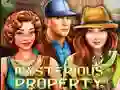 Joc Mysterious Property on-line