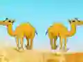 Joc Desert Gold Rush The Great Treasure Escape on-line