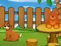 Joc Funny Iguana Escape on-line