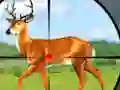 Joc Wild Hunt Hunting Games 3D on-line