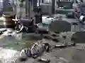 Joc Friends Rescue From Skeleton on-line