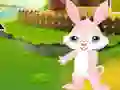 Joc Find The Buddy Rabbit on-line