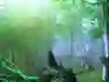 Joc Trapped Honeybee Escape on-line