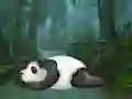 Joc Wakeup The Sleeping Panda on-line