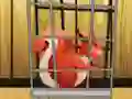 Joc Rescue The Red Squirrel From Cage on-line