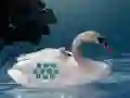 Joc Save The Swan Mother Child on-line
