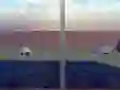 Joc Escape from the House with Turtles on-line