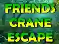 Joc Friends Crane Escape on-line
