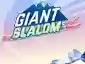 Joc Giant Slalom on-line