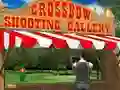 Joc Crossbow Shooting Gallery on-line