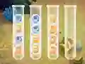 Joc Sort Bubbles on-line