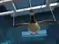 Joc Goose Museum on-line