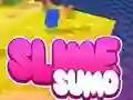 Joc Sumo Slime 3D on-line