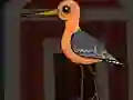 Joc Cute Godwit Escape on-line