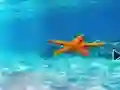 Joc Escape From Underwater Starfish on-line