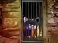 Joc Hidden Cat Escape on-line