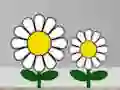 Joc Find Succulent Plant on-line