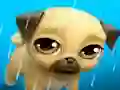 Joc My Virtual Pet Louie the Pug on-line