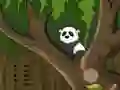Joc Panda Jungle Escape on-line
