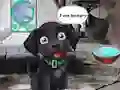 Joc Feed Hungry Black Dog on-line