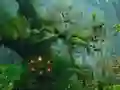 Joc Innocent Sparrow Couple Escape on-line