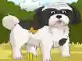 Joc Dogs Spot the Diffs Part 2 on-line