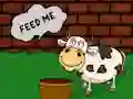 Joc Find The Cow Feed on-line