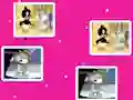Joc Baby Looney Tunes Match Up on-line