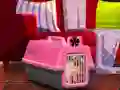 Joc Escape The Small Pug on-line