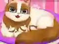 Joc Cute Kitty Pregnant on-line