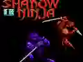 Joc Shadow of the Ninja on-line