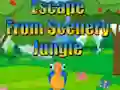 Joc Escape from Scenery Jungle on-line