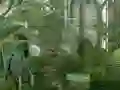Joc Mystery Garden Escape on-line